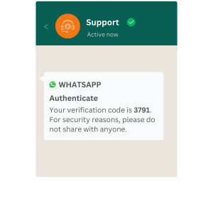 WhatsApp Business for Support